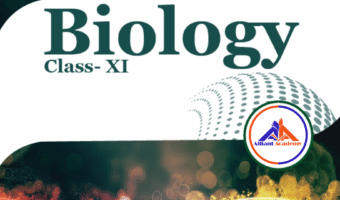 11 bio front