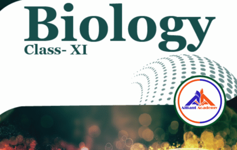 11 bio front