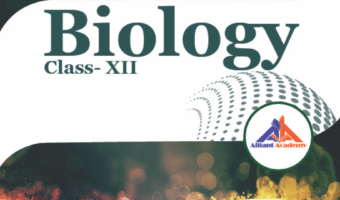 12 bio front